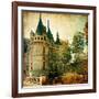 Castles Of France - Vintage Series-Maugli-l-Framed Art Print