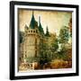 Castles Of France - Vintage Series-Maugli-l-Framed Art Print