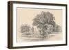 Castleton, Vermont, 1871-James Renwick Brevoort-Framed Giclee Print