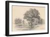 Castleton, Vermont, 1871-James Renwick Brevoort-Framed Giclee Print