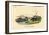 Castor du Canada-E.f. Noel-Framed Art Print