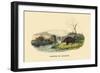 Castor du Canada-E.f. Noel-Framed Art Print