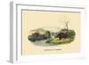 Castor du Canada-E.f. Noel-Framed Art Print