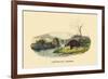 Castor du Canada-E.f. Noel-Framed Art Print