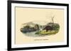 Castor du Canada-E.f. Noel-Framed Art Print