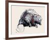 Castor Fiber, 2001-Mark Adlington-Framed Giclee Print