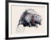 Castor Fiber, 2001-Mark Adlington-Framed Giclee Print