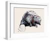 Castor Fiber, 2001-Mark Adlington-Framed Giclee Print