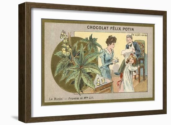 Castor Oil - Delicacy of Miss Lili-null-Framed Giclee Print