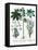 Castor Oil Plant-Georgette Douwma-Framed Stretched Canvas