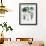 Castor Oil Plant-Georgette Douwma-Framed Photographic Print displayed on a wall