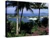 Castries, St. Lucia, Windward Islands, West Indies, Caribbean, Central America-John Miller-Stretched Canvas