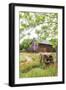 Castroville, Texas, USA.  Large American flag on a barn in the Texas Hill Country.-Emily Wilson-Framed Photographic Print