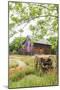 Castroville, Texas, USA.  Large American flag on a barn in the Texas Hill Country.-Emily Wilson-Mounted Photographic Print