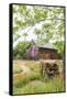 Castroville, Texas, USA.  Large American flag on a barn in the Texas Hill Country.-Emily Wilson-Framed Stretched Canvas