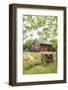 Castroville, Texas, USA.  Large American flag on a barn in the Texas Hill Country.-Emily Wilson-Framed Photographic Print