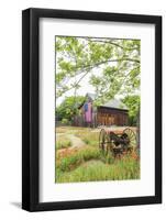 Castroville, Texas, USA.  Large American flag on a barn in the Texas Hill Country.-Emily Wilson-Framed Photographic Print