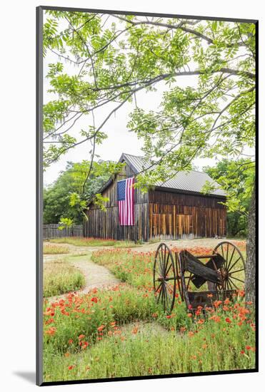 Castroville, Texas, USA.  Large American flag on a barn in the Texas Hill Country.-Emily Wilson-Mounted Photographic Print