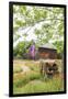 Castroville, Texas, USA.  Large American flag on a barn in the Texas Hill Country.-Emily Wilson-Framed Photographic Print