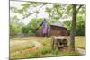 Castroville, Texas, USA.  Large American flag on a barn in the Texas Hill Country.-Emily Wilson-Mounted Photographic Print