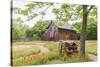 Castroville, Texas, USA.  Large American flag on a barn in the Texas Hill Country.-Emily Wilson-Stretched Canvas