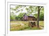 Castroville, Texas, USA.  Large American flag on a barn in the Texas Hill Country.-Emily Wilson-Framed Photographic Print