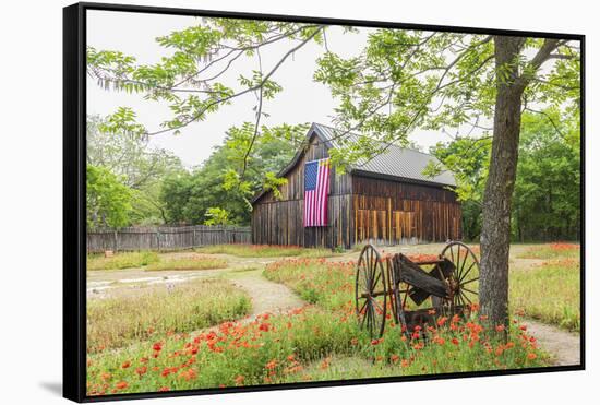 Castroville, Texas, USA.  Large American flag on a barn in the Texas Hill Country.-Emily Wilson-Framed Stretched Canvas