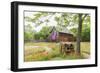 Castroville, Texas, USA.  Large American flag on a barn in the Texas Hill Country.-Emily Wilson-Framed Photographic Print