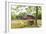 Castroville, Texas, USA.  Large American flag on a barn in the Texas Hill Country.-Emily Wilson-Framed Photographic Print