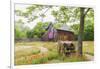 Castroville, Texas, USA.  Large American flag on a barn in the Texas Hill Country.-Emily Wilson-Framed Photographic Print