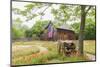 Castroville, Texas, USA.  Large American flag on a barn in the Texas Hill Country.-Emily Wilson-Mounted Photographic Print