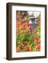 Castroville, Texas, USA. Old milk jug in poppies in the Texas Hill Country.-Emily Wilson-Framed Photographic Print