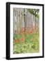 Castroville, Texas, USA. Poppies and wooden fence in the Texas Hill Country.-Emily Wilson-Framed Photographic Print