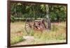 Castroville, Texas, USA.  Rusted antique farm equipment in a field of poppies.-Emily Wilson-Framed Photographic Print