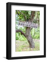 Castroville, Texas, USA. Sign warning snakes in the Texas Hill Country.-Emily Wilson-Framed Photographic Print