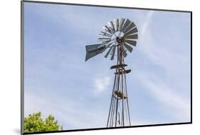 Castroville, Texas, USA. Windmill in the Texas Hill Country.-Emily Wilson-Mounted Photographic Print