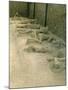 Casts of People Buried in the Destruction, Pompeii, Campania, Italy-Bruno Morandi-Mounted Photographic Print