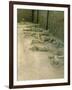 Casts of People Buried in the Destruction, Pompeii, Campania, Italy-Bruno Morandi-Framed Photographic Print