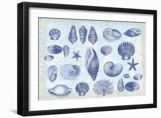 Casual Coastal Shells-Lula Bijoux-Framed Art Print