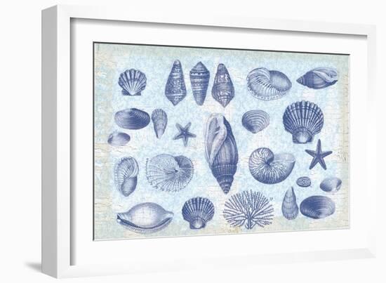 Casual Coastal Shells-Lula Bijoux-Framed Art Print