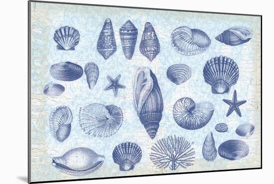 Casual Coastal Shells-Lula Bijoux-Mounted Art Print