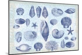 Casual Coastal Shells-Lula Bijoux-Mounted Art Print