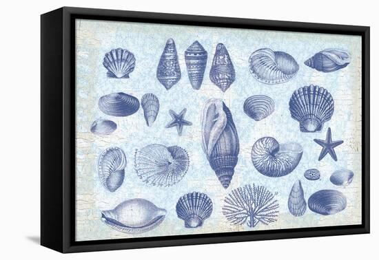 Casual Coastal Shells-Lula Bijoux-Framed Stretched Canvas