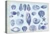 Casual Coastal Shells-Lula Bijoux-Stretched Canvas