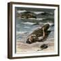 Casualty on the Beach at Dieppe, 1945-Alfred Hierl-Framed Giclee Print