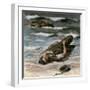 Casualty on the Beach at Dieppe, 1945-Alfred Hierl-Framed Giclee Print