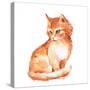 Cat 1. Ginger Fluffy Kitten. Watercolor Painting-OGri-Stretched Canvas