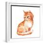 Cat 1. Ginger Fluffy Kitten. Watercolor Painting-OGri-Framed Photographic Print