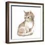 Cat 1. Gray Fluffy Kitten. Watercolor Painting-OGri-Framed Photographic Print