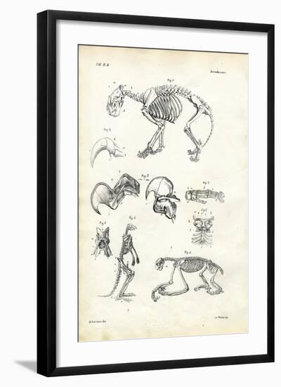 Cat, 1863-79-Raimundo Petraroja-Framed Giclee Print